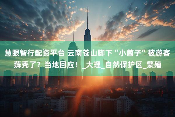 慧眼智行配资平台 云南苍山脚下“小菌子”被游客薅秃了？当地回应！_大理_自然保护区_繁殖