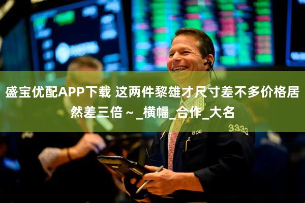 盛宝优配APP下载 这两件黎雄才尺寸差不多价格居然差三倍～_横幅_合作_大名