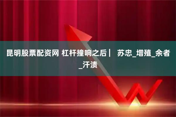 昆明股票配资网 杠杆撞响之后 ▏苏忠_增殖_余者_汗渍